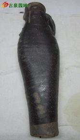 鸡腿瓶在线视频,美味家常菜的制作秘诀