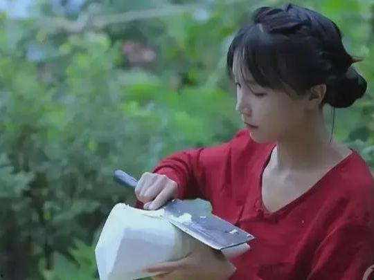 李子柒 在线视频,诗意栖居，回归自然之美