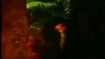 黑夜在线视频hyzxcom